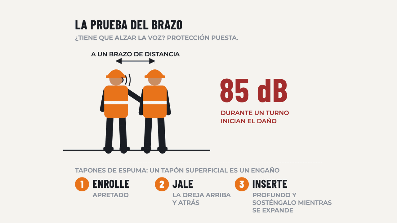 Protección Auditiva: diagrama