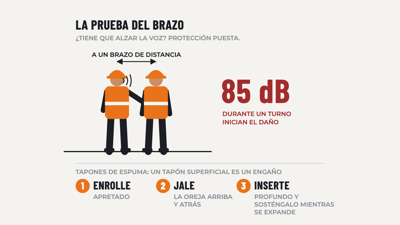 Protección Auditiva: diagrama