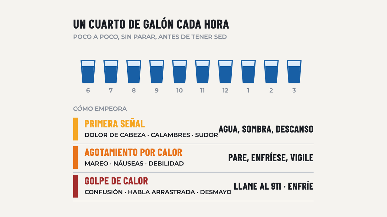 Prevención de Enfermedades por Calor: diagrama